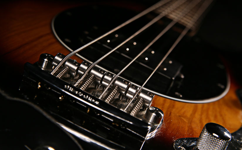 sarah higgins bass guitar detail